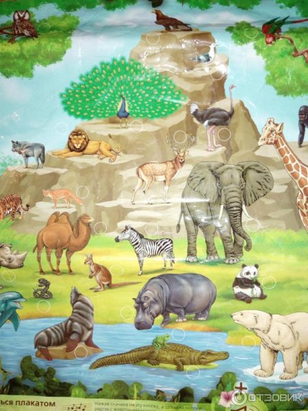 Знаток электронный звуковой плакат веселый зоопарк