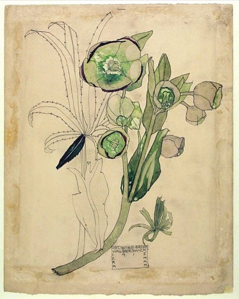 Чарльз макинтош плакаты