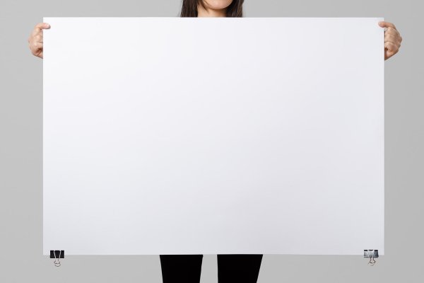 Плакаты белых