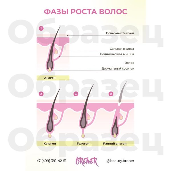 Плакаты по депиляции