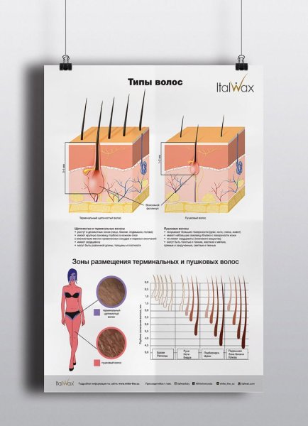 Плакаты депиляция