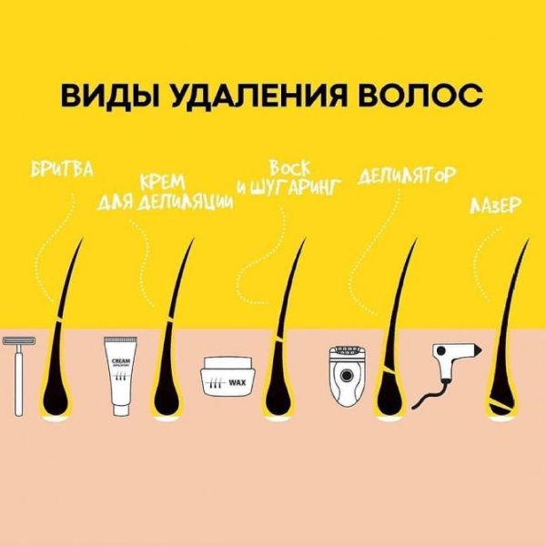 Схема роста волос для шугаринга