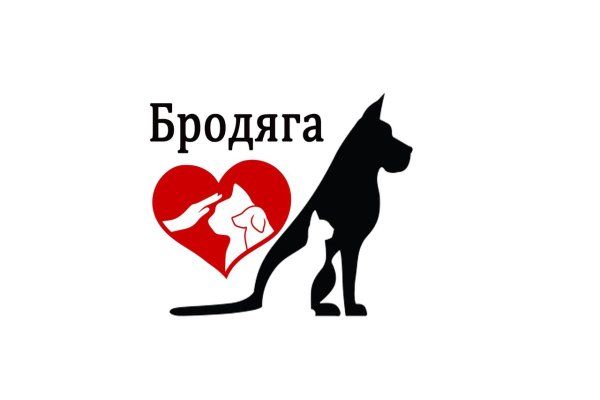 Помощь бездомным животн