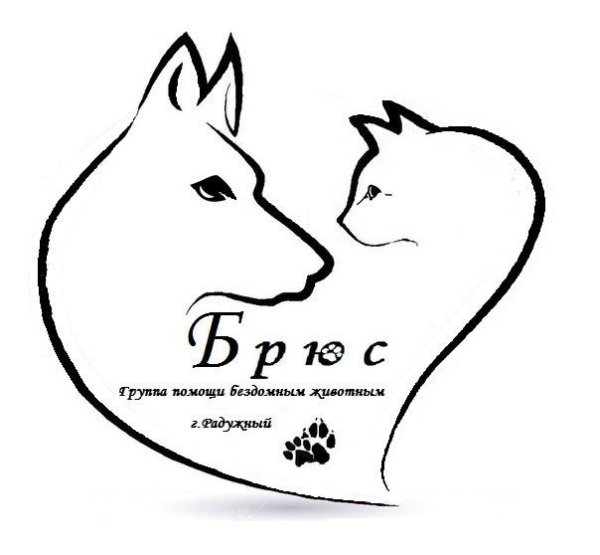 Защита бездомных животных рисунок