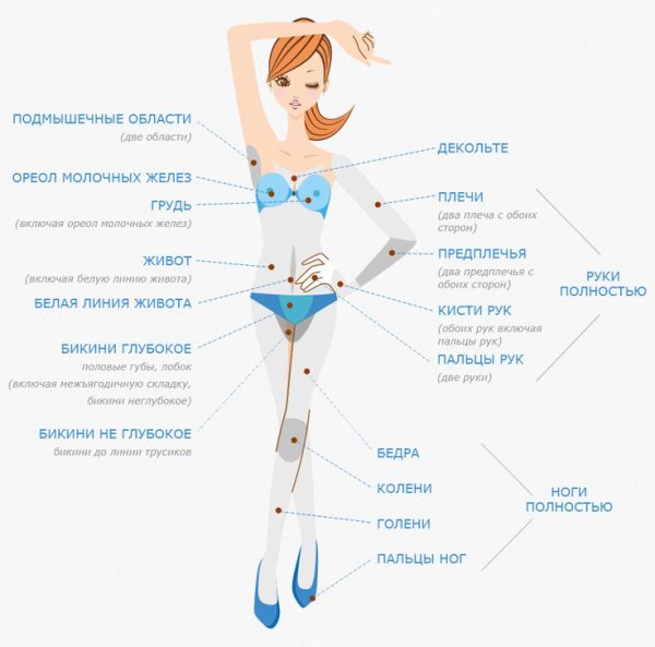 Зоны депиляции бикини схема