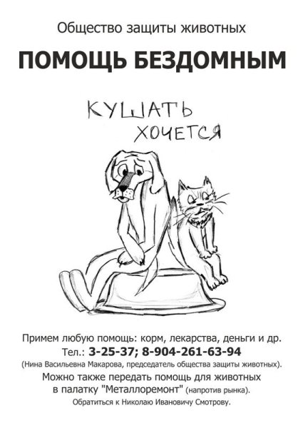 Плакат о бездомных животных