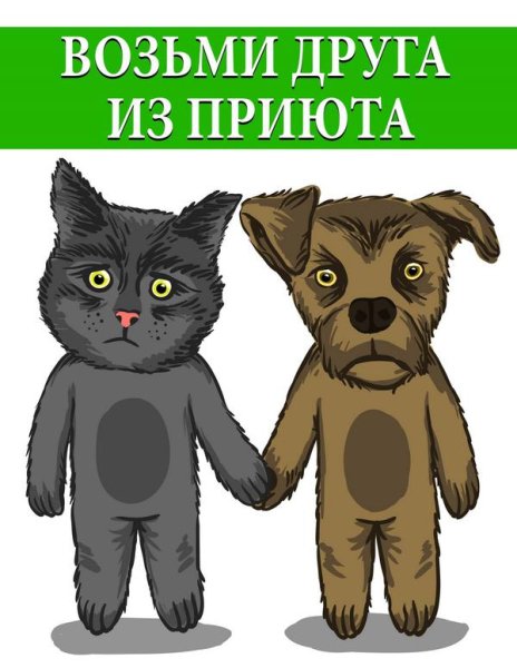 Возьми питомца из приюта