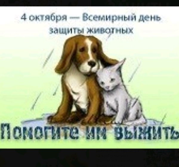 Рисунок ко Дню защиты животных