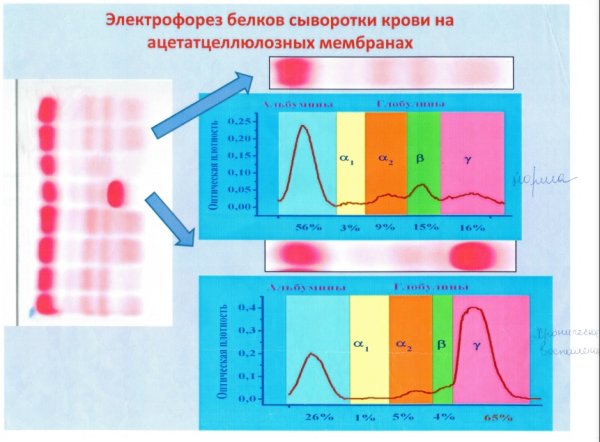Физиолечение иконка