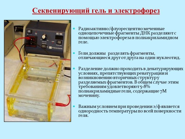 Электрофорез коллоидная химия