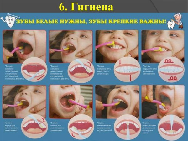 Как чистить зубы
