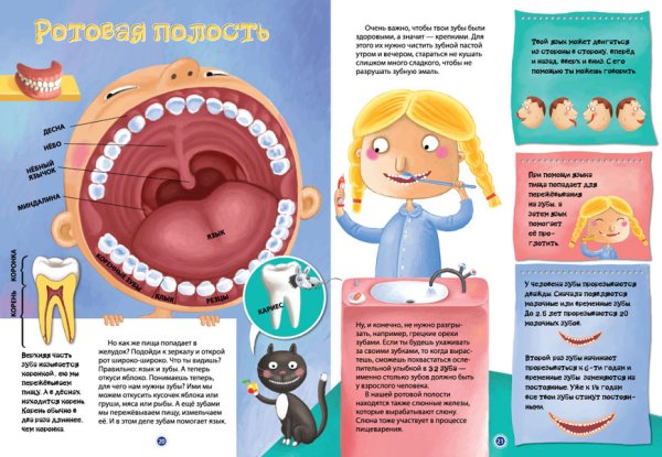 Задания про зубы для детей