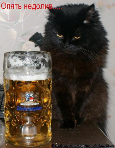 Требуйте долива пива