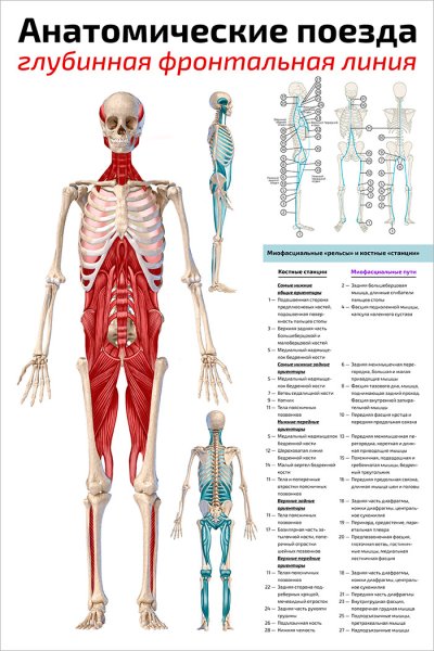 Плакаты Томаса Майерса анатомические поезда