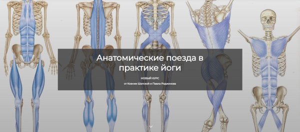 Глубинная фронтальная линия Майерс