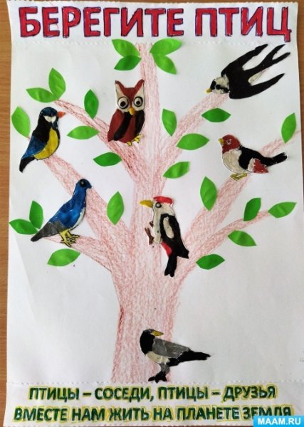 Плакат берегите птиц
