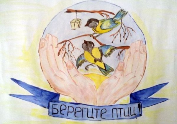 Плакат берегите птиц