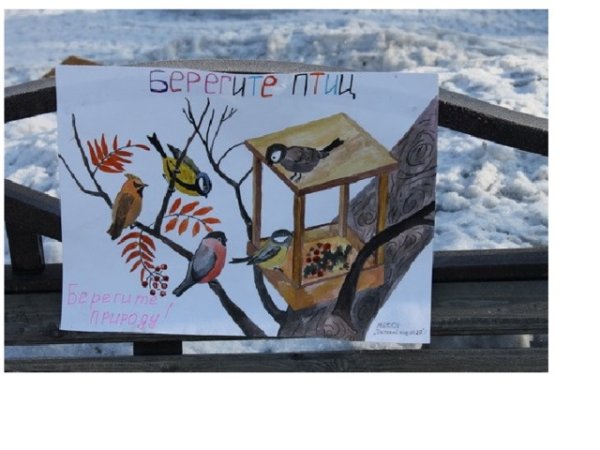 Акция день птиц