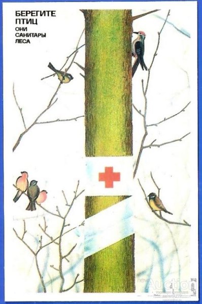 Берегите птиц птицы санитары леса