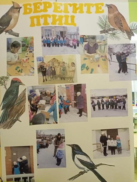 Плакат берегите птиц
