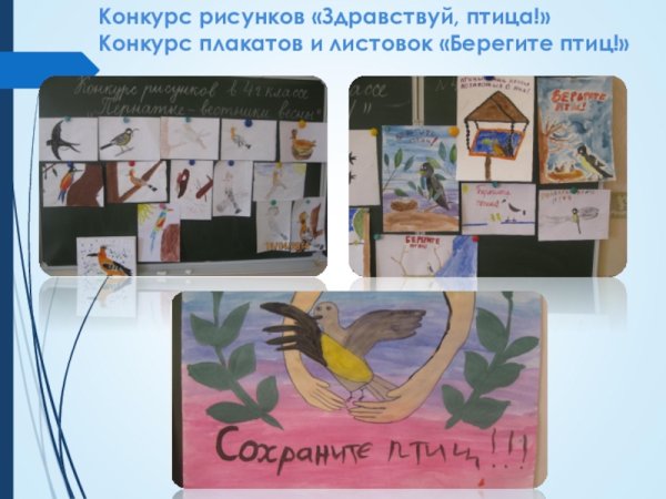 Конкурс плакатов и листовок