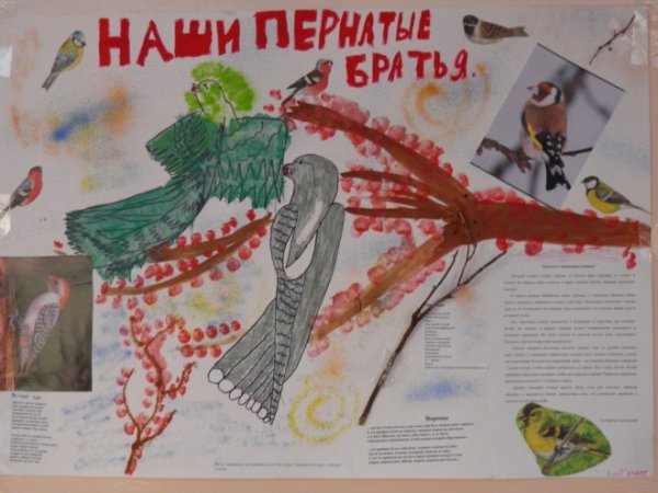 Экологическая акция берегите птиц