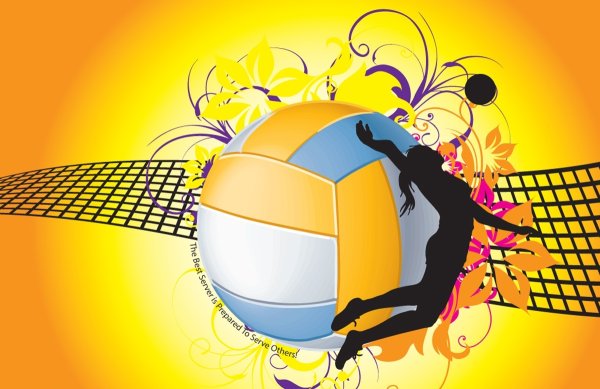 День волейбола