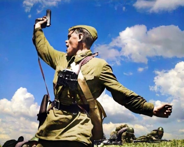 Комбат Макса Альперта