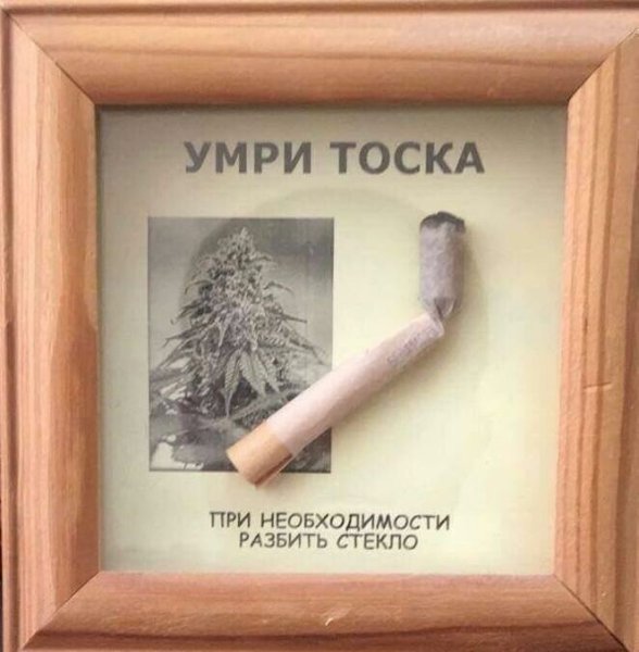 Прикол подарок наркотик