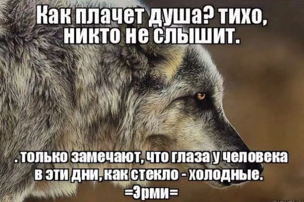 Без слов цитаты