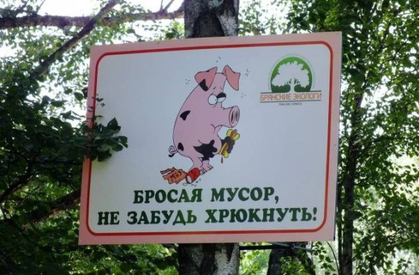 Табличка не мусорить в лесу