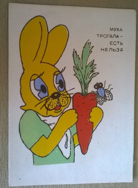 Муха трогала есть нельзя плакат