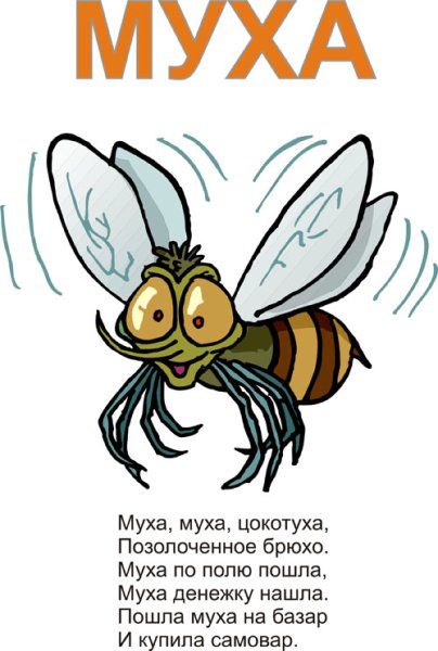 Стишок про муху для детей