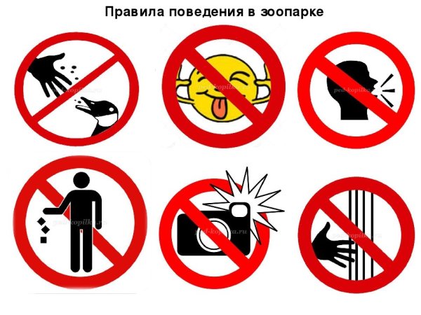 Правила поведения в зоопарке