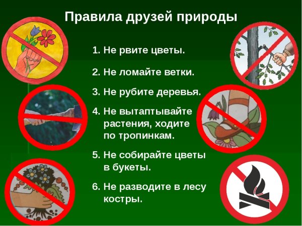 Памятка о защите природы