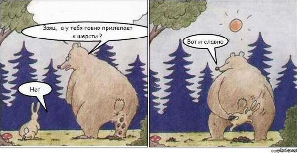 Медведь ну и отлично