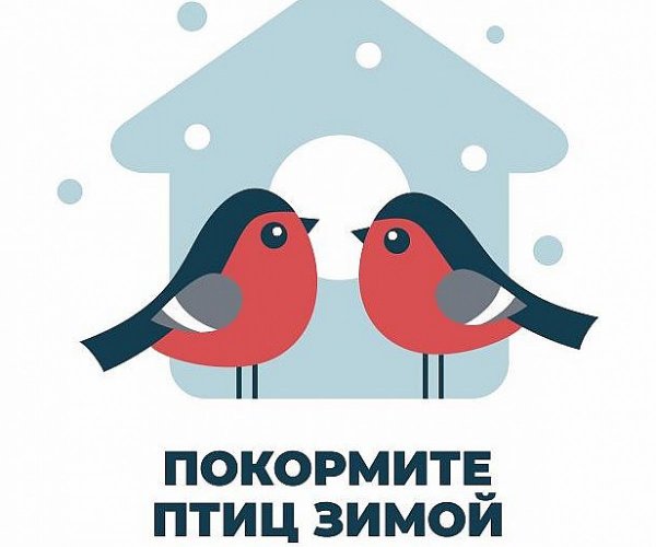 Покормите птиц зимой