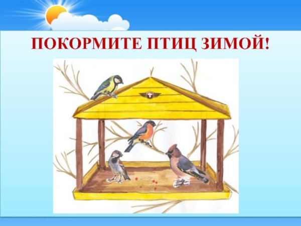 Листовки о защите птиц