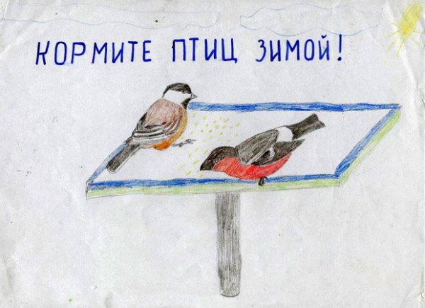 Помоги птицам зимой