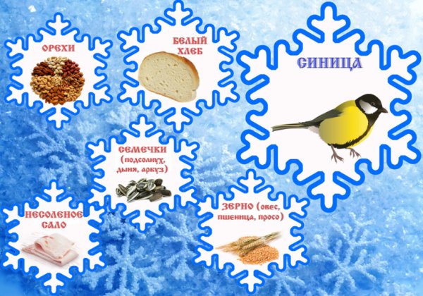 Плакат поможем зимующим птицам