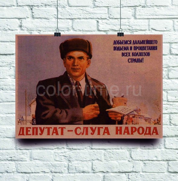 Депутат слуга народа