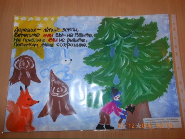 Листовка в защиту хвойных