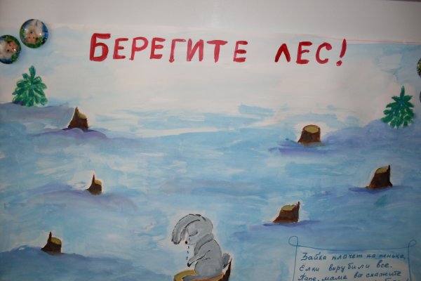 Против вырубки леса