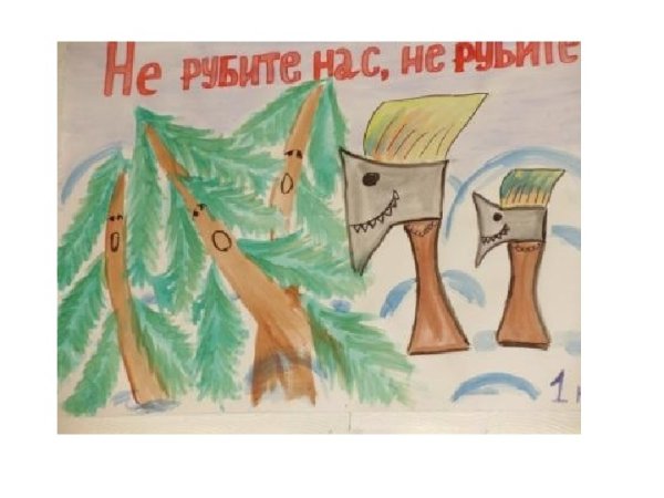 Плакат в защиту хвойных деревьев