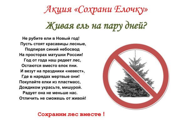 Плакат в защиту хвойных деревьев