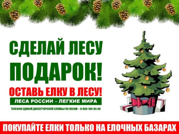 Елочка живи конкурс рисунков