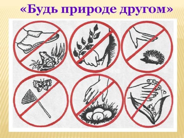 Раскраски по экологии