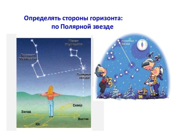 Ориентирование на местности для детей