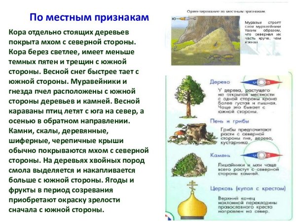 Ориентирование на местности