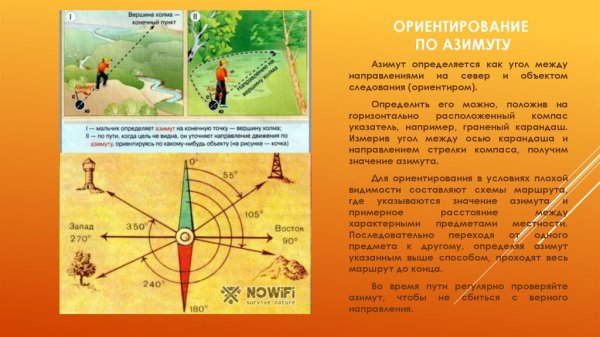 Ориентирование на местности